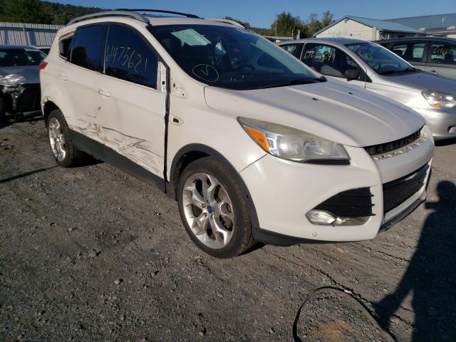 Ford Escape tit (2013)