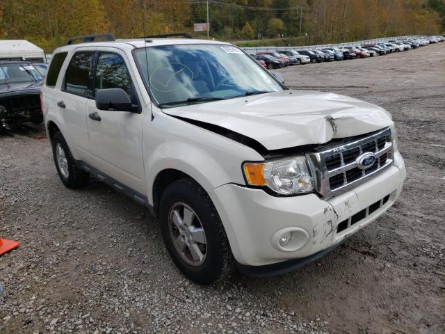 Ford Escape xlt (2010)