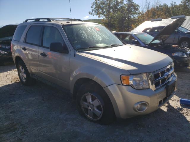 Ford Escape xlt (2011)