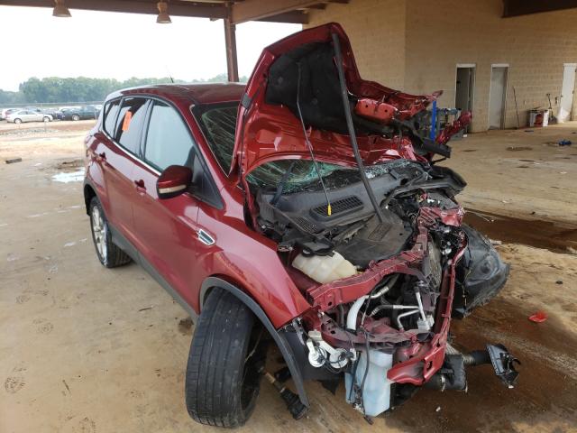 Ford Escape sel (2013)