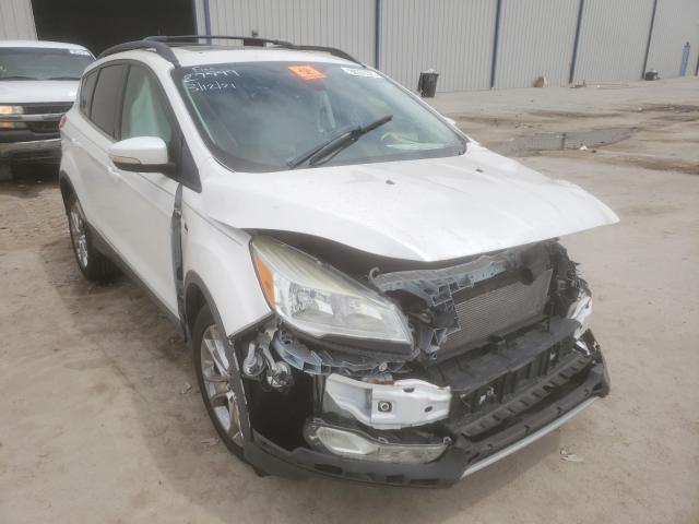 Ford Escape sel (2013)