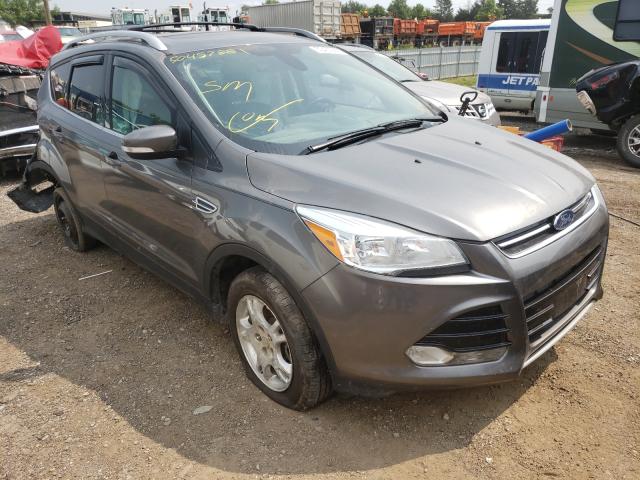 Ford Escape tit (2014)