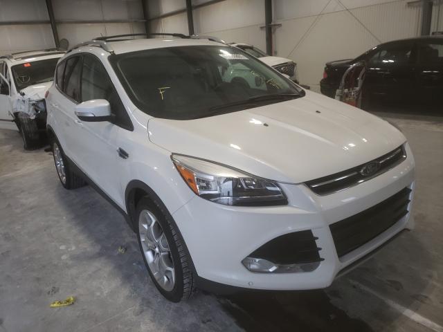 Ford Escape tit (2014)
