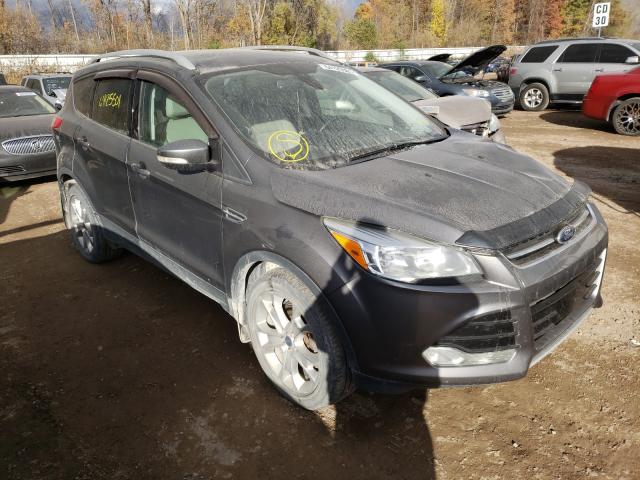Ford Escape tit (2014)