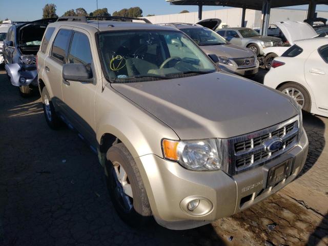 Ford Escape xlt (2010)
