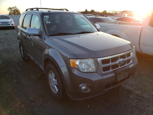 Ford Escape xlt (2010)