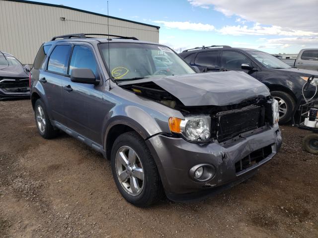 Ford Escape xlt (2010)