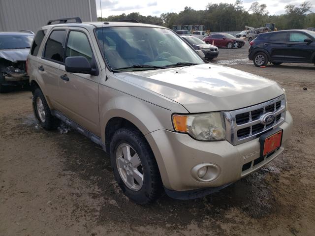 Ford Escape xlt (2011)
