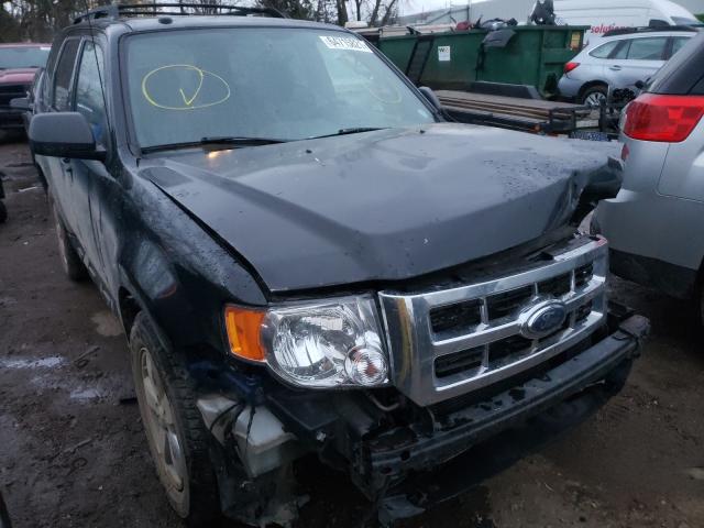 Ford Escape xlt (2011)