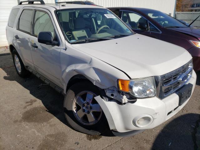 Ford Escape xlt (2011)