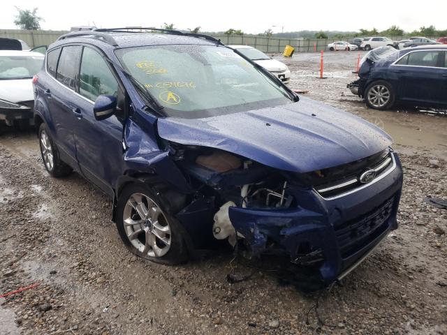 Ford Escape sel (2013)