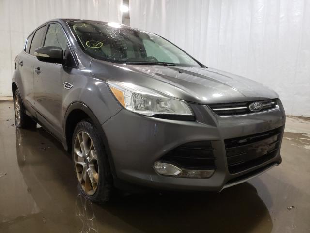 Ford Escape sel (2013)