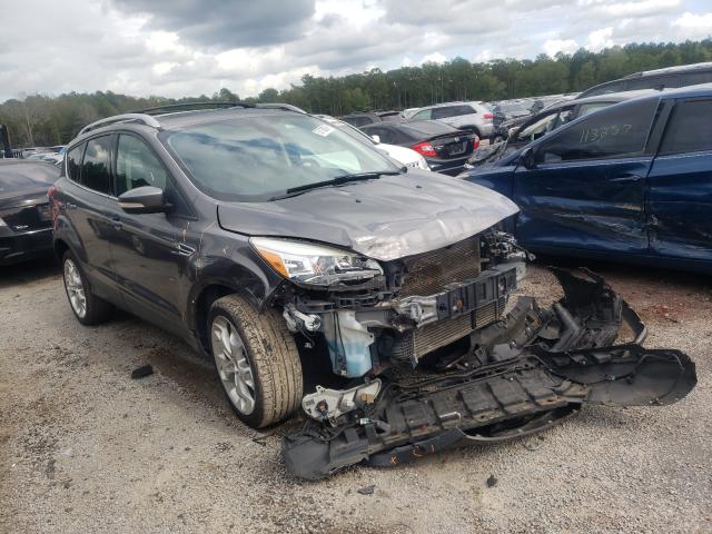 Ford Escape tit (2013)