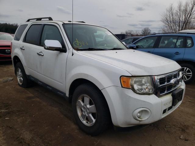 Ford Escape xlt (2010)