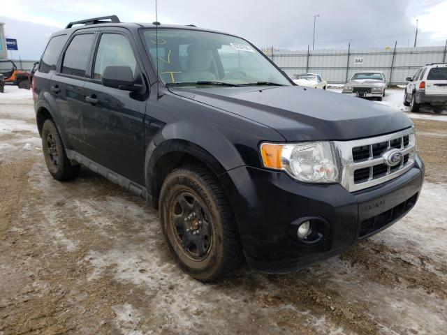 Ford Escape xlt (2010)