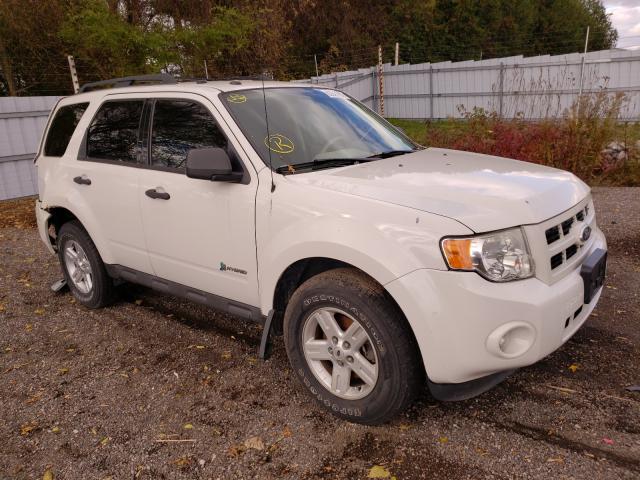 Ford Escape hyb (2011)