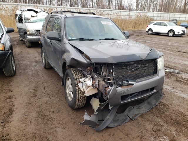 Ford Escape xlt (2011)