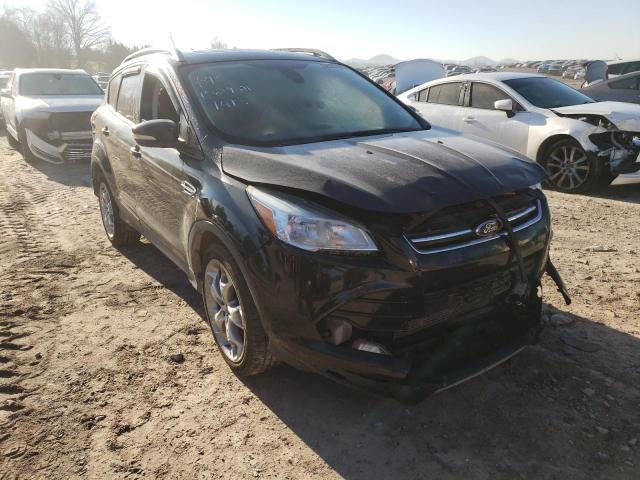 Ford Escape tit (2015)
