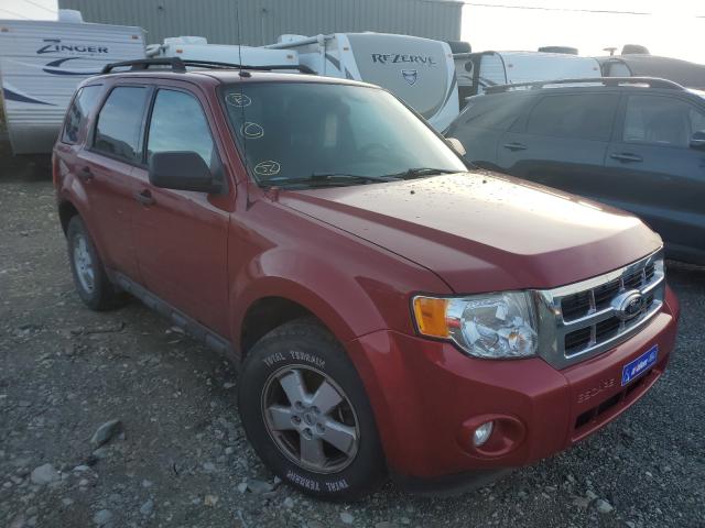 Ford Escape xlt (2011)