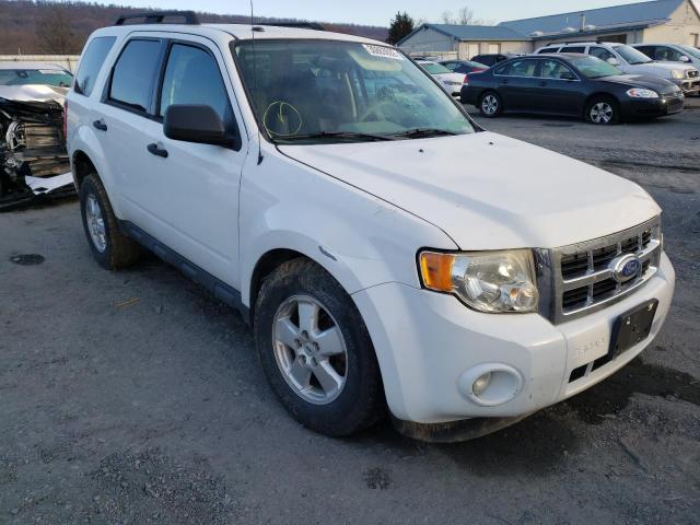 Ford Escape xlt (2011)