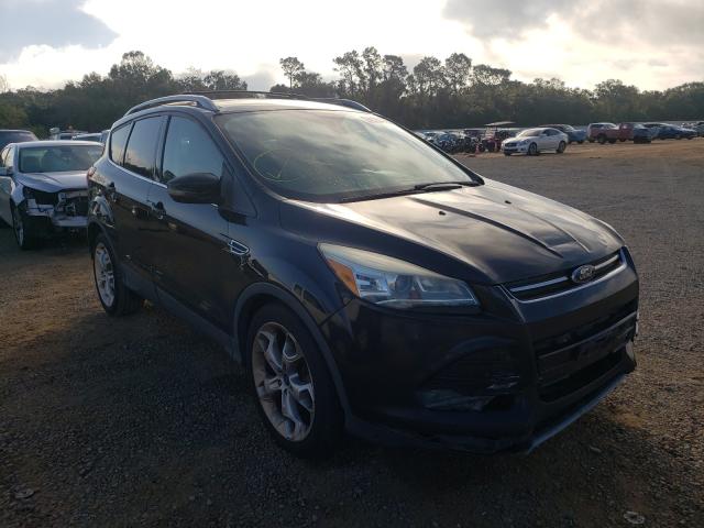 Ford Escape tit (2013)