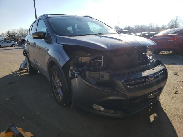 Ford Escape tit (2014)