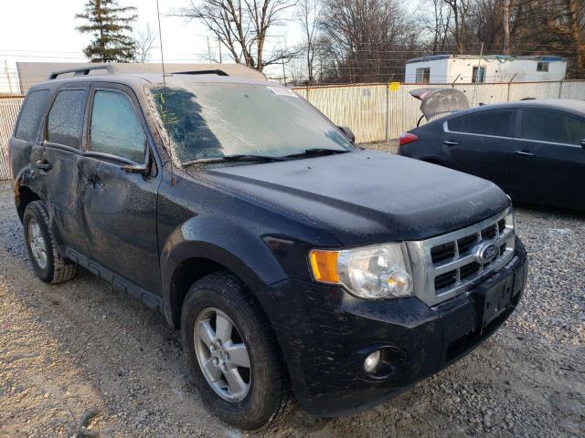 Ford Escape xlt (2010)