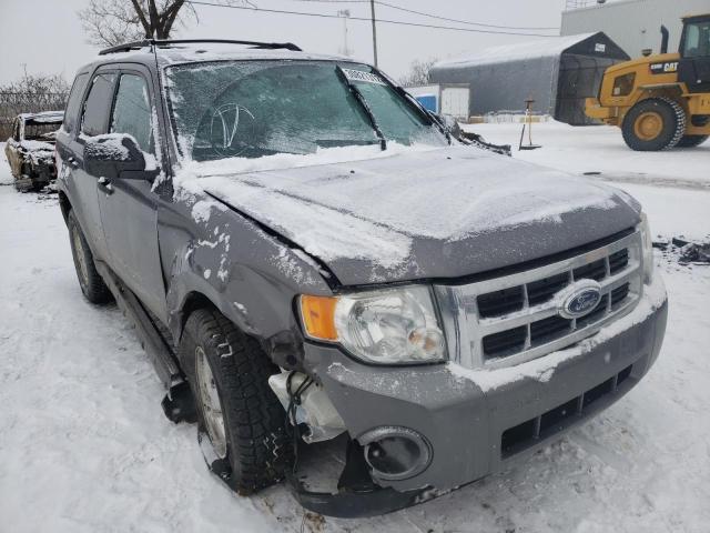 Ford Escape xlt (2010)