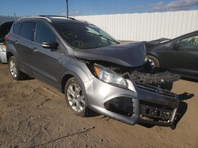 Ford Escape tit (2014)