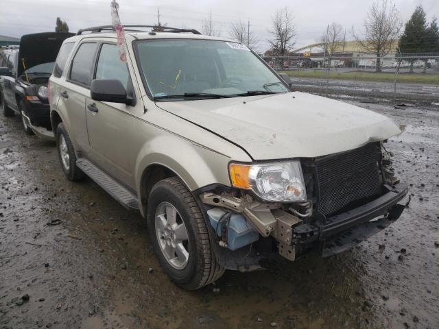 Ford Escape xlt (2010)