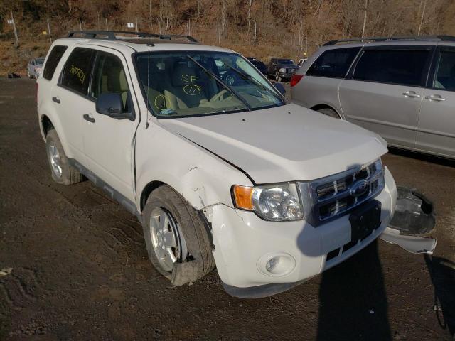 Ford Escape xlt (2011)