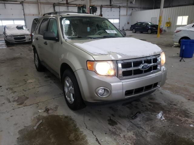Ford Escape xlt (2011)