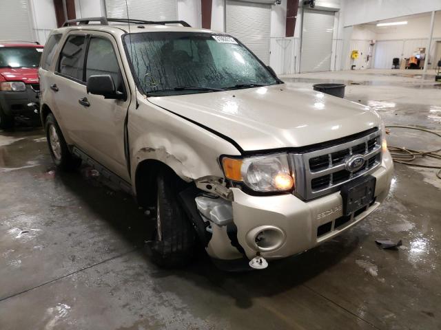 Ford Escape xlt (2011)