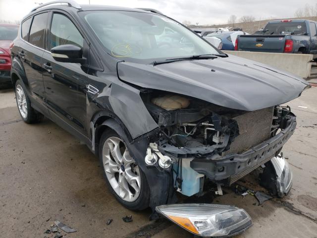 Ford Escape tit (2014)