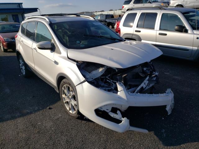 Ford Escape tit (2015)