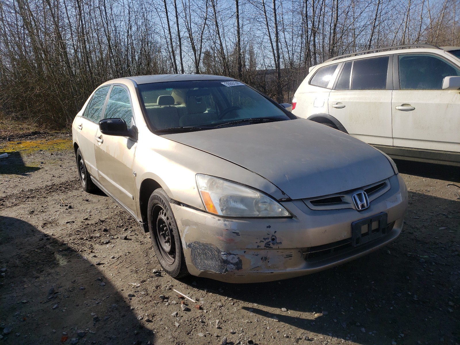 Honda Accord lx (2003)