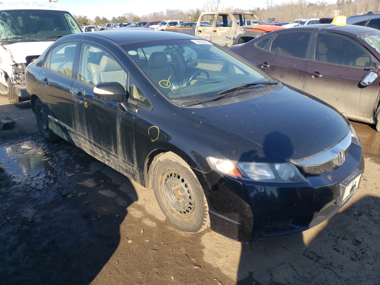Honda Civic hybr (2010)