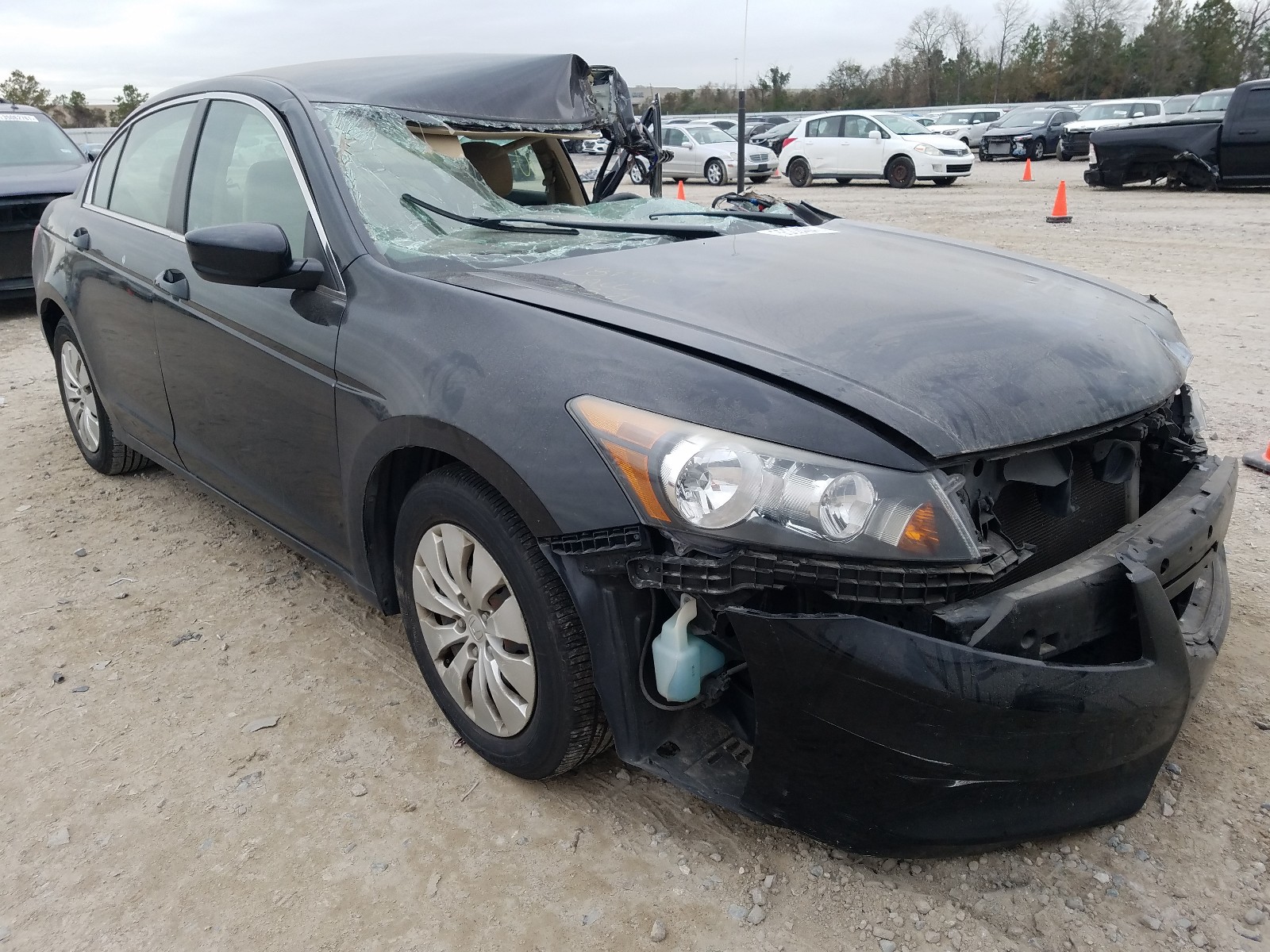 Honda Accord lx (2012)