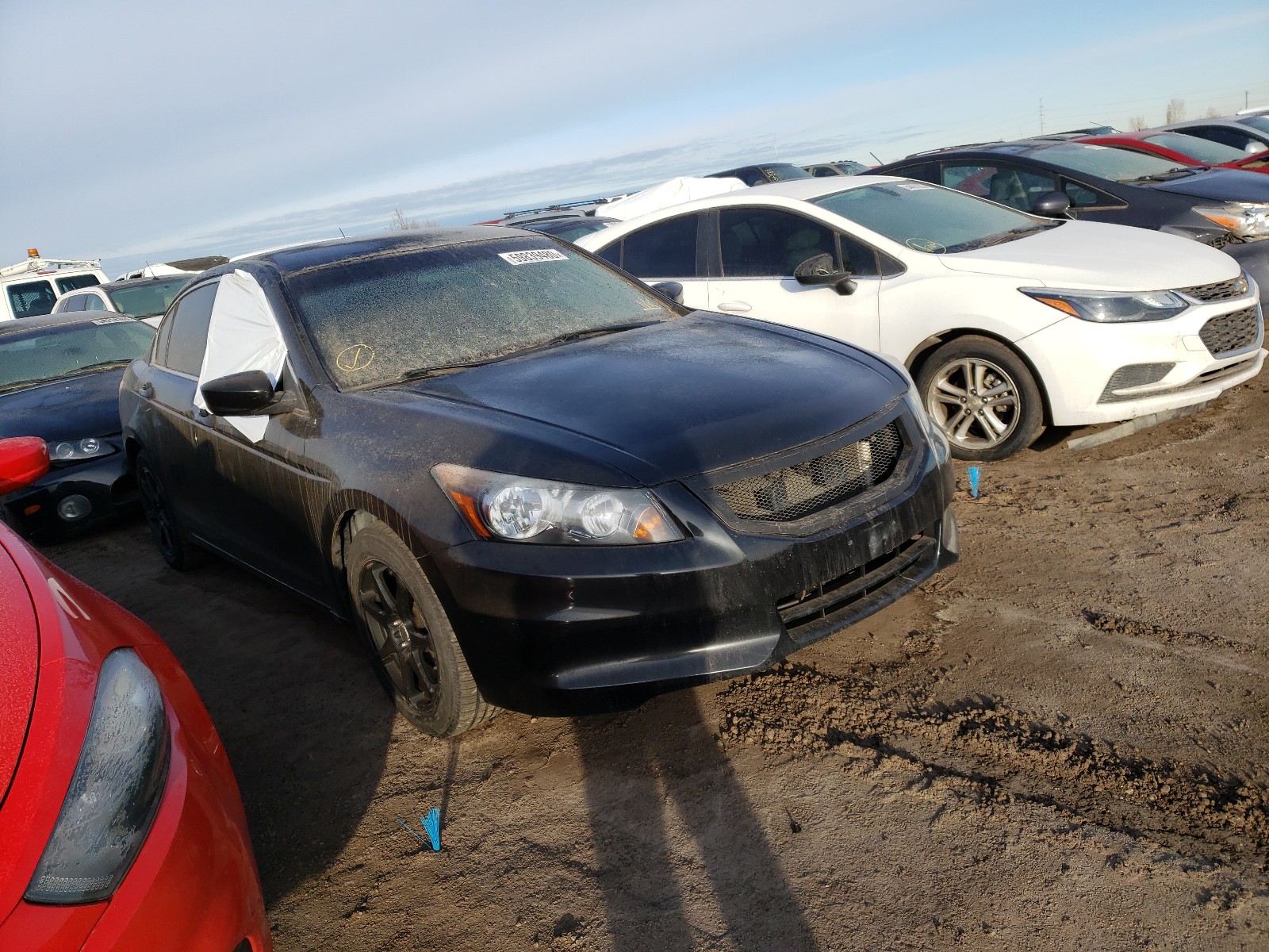 Honda Accord se (2012)