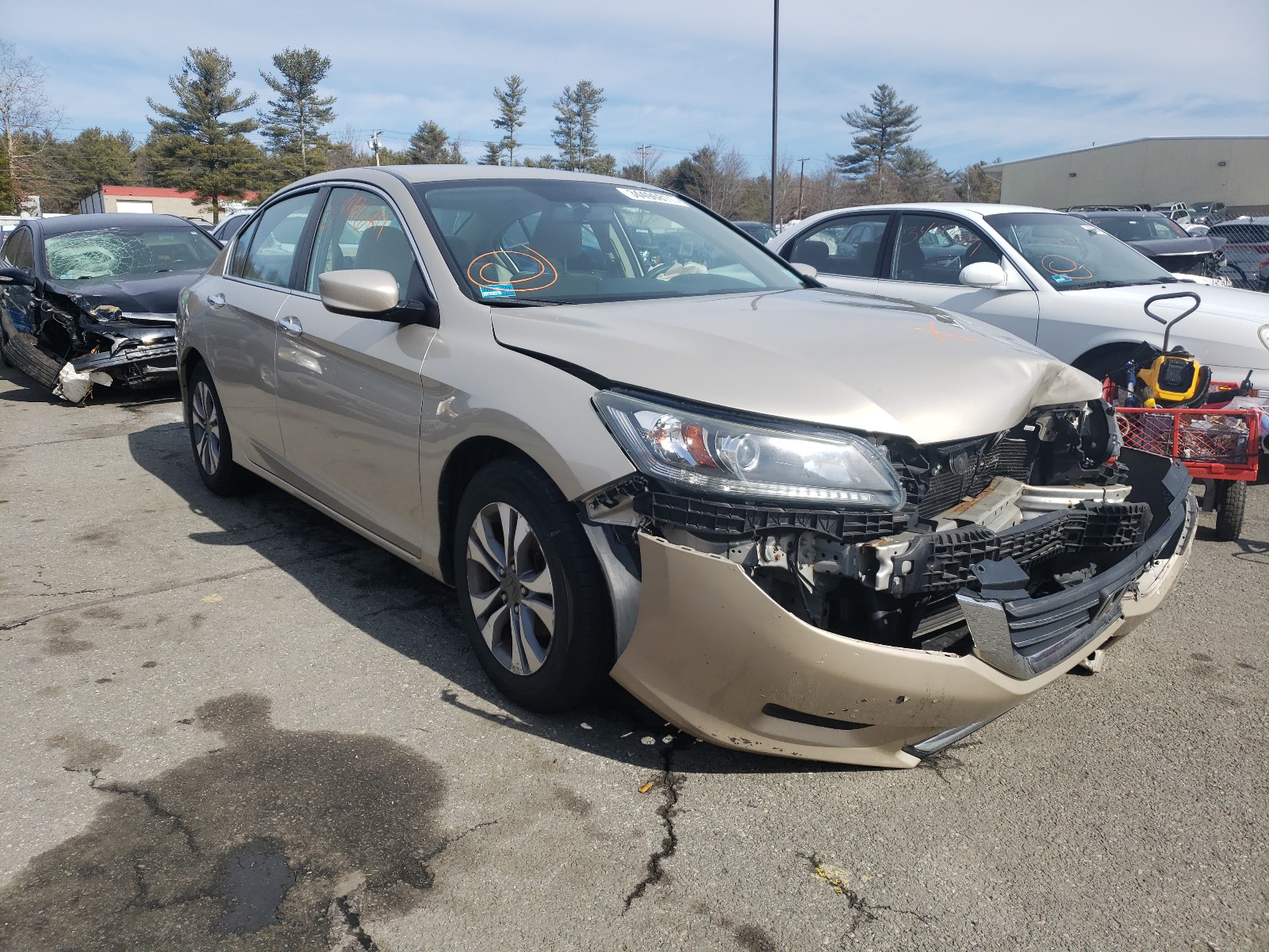 Honda Accord lx (2013)