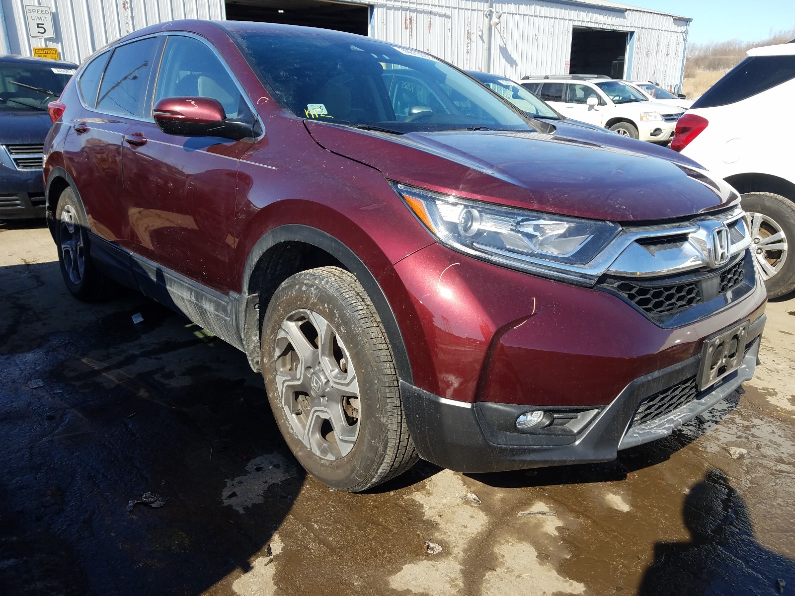 Honda Cr-v ex (2017)