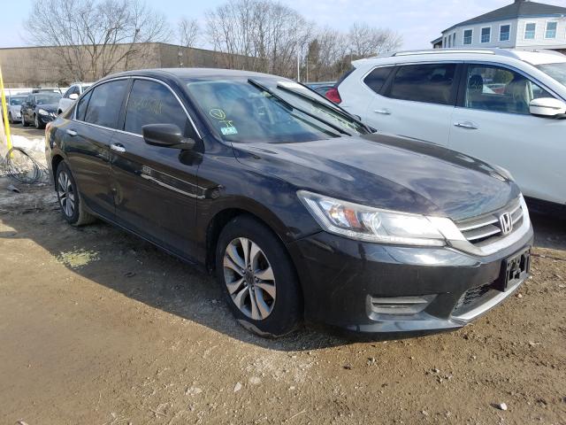 Honda Accord lx (2013)