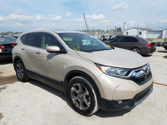 Honda Cr-v ex (2019)
