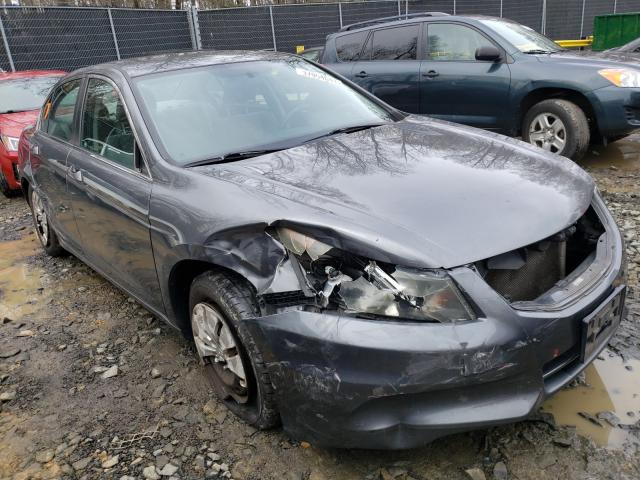 Honda Accord lx (2011)