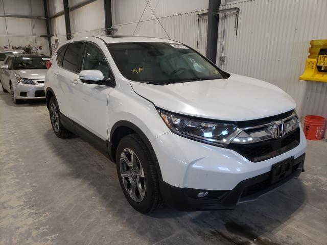 Honda Cr-v ex (2019)