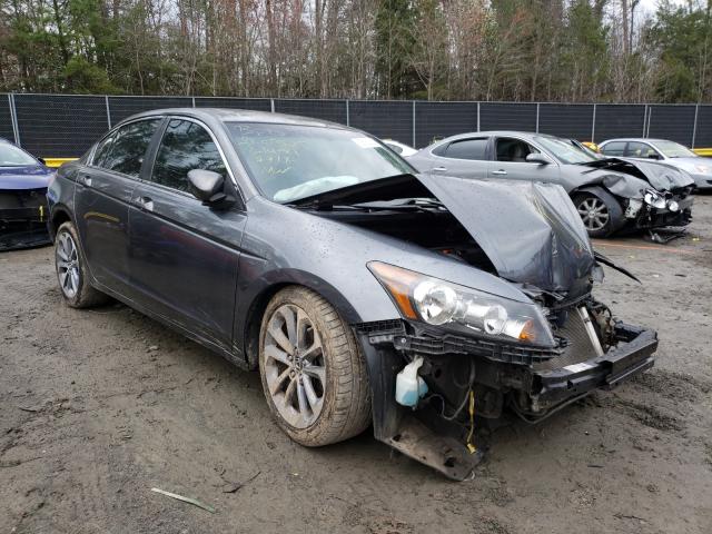 Honda Accord lx (2010)