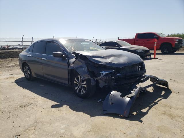 Honda Accord lx (2013)