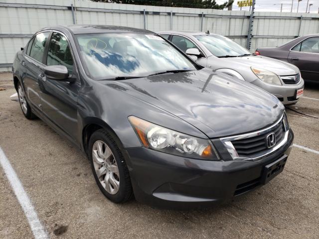 Honda Accord lx (2010)