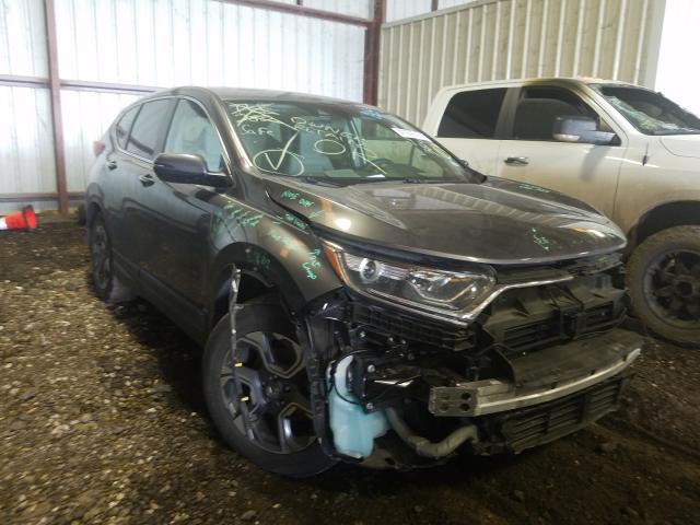 Honda Cr-v ex (2019)