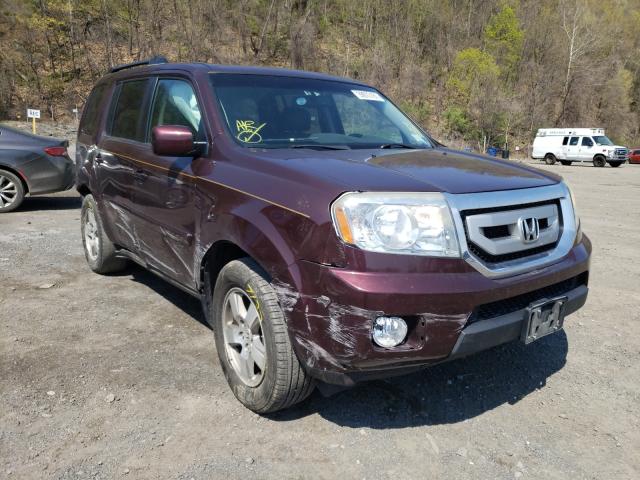 Honda Pilot exln (2011)